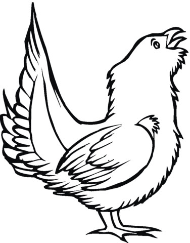 Grouse Bird  Coloring Page